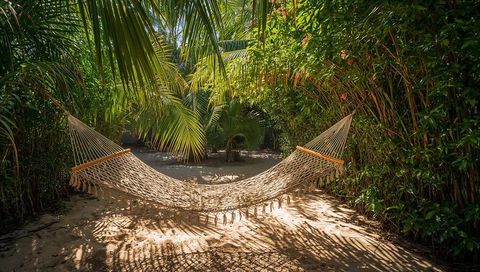 Sunlit Woven Hammock in Lush Tropical Oasis