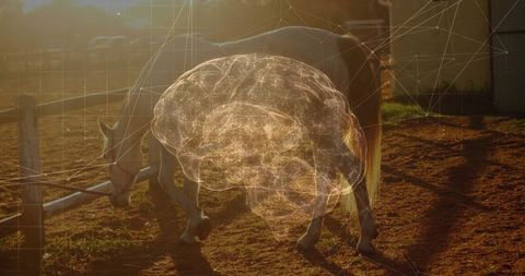 Grazing Horse with Futuristic Brain Overlay Christians Technology and Nature
