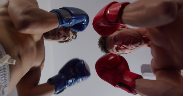 Two professional boxers wear gloves and prepare for a match from an upward perspective. Can use for sports advertisements, training and fitness programs, or motivational materials highlighting competition and strength.