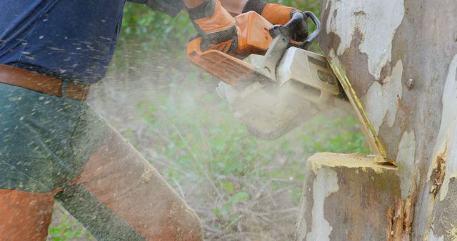 Lumberjack Using Chainsaw Cutting Tree Close-Up - Download Free Stock Images Pikwizard.com