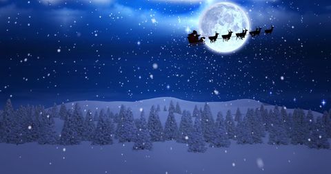 Santa's Sleigh Across Moonlit Winter Sky