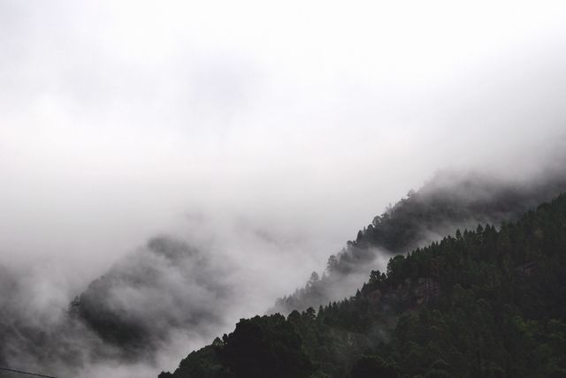 This captivating image depicts a dense fog enveloping a lush green forest in a mountainous region at dawn. The mist creates an ethereal and tranquil atmosphere, making it an ideal visual for nature-themed projects, travel brochures, and relaxation content. It can also be used to illustrate the beauty and mystery of the natural world in environmental campaigns and outdoor adventure promotions.