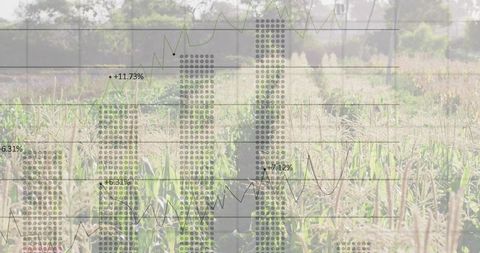 Agritech analytics overlay: transparent bar and line charts tracking crop yield trends