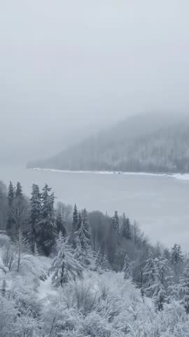 Vertical Footage Capturing Snow-Covered Slope and Frozen Lake in Misty Winter Forest