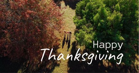 An overhead shot captures a vibrant autumn landscape with the words 'Happy Thanksgiving' elegantly overlaid. The mix of colorful leaves creates a visually appealing transition that highlights the festive atmosphere. This image is perfect for Thanksgiving cards, social media posts, or holiday-themed promotions. It embodies the seasonal spirit of unity, gratitude, and nature's beauty.