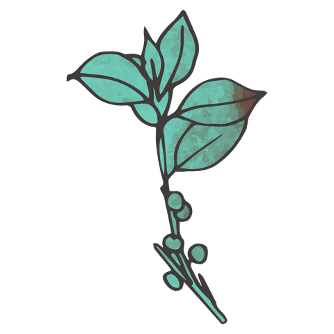 stylized leaves and twig on transparent background - Download Free Stock Videos Pikwizard.com