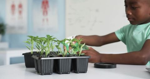 Young student tending seedling trays in classroom science lab, hands-on learning
