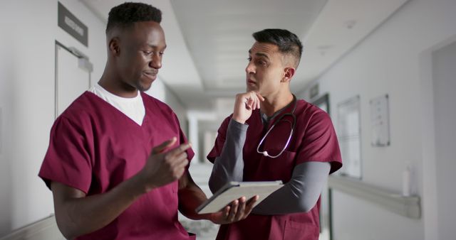 Two Male Nurses Discussing Medical Case in Hospital - Download Free Stock Images Pikwizard.com