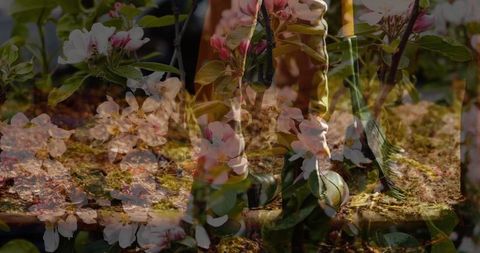 Conceptual layers of seasons and life transition