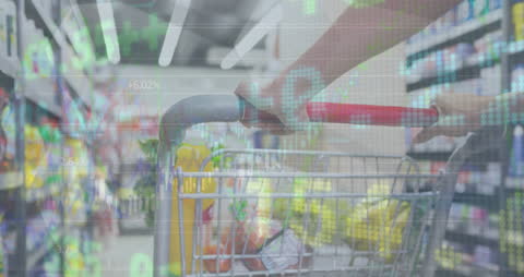 Grocery Shopping Cart with Financial Data Overlay