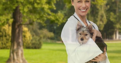 Veterinarian Caring for Yorkshire Terrier in Park Setting