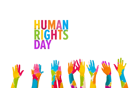 colorful human rights day text with raised hands on transparent background - Download Free Stock Videos Pikwizard.com