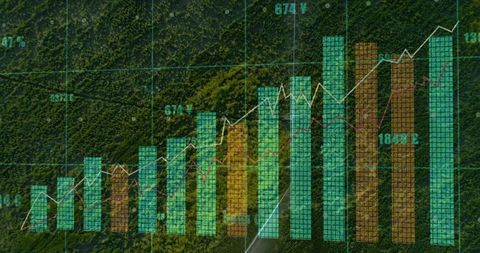 Aerial view overlaying data on forest road overgrowth