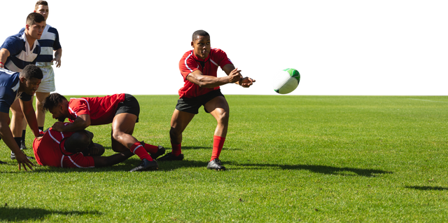 Transparent Dynamic Diverse Male Rugby Players in Game Action - Download Free Stock Videos Pikwizard.com