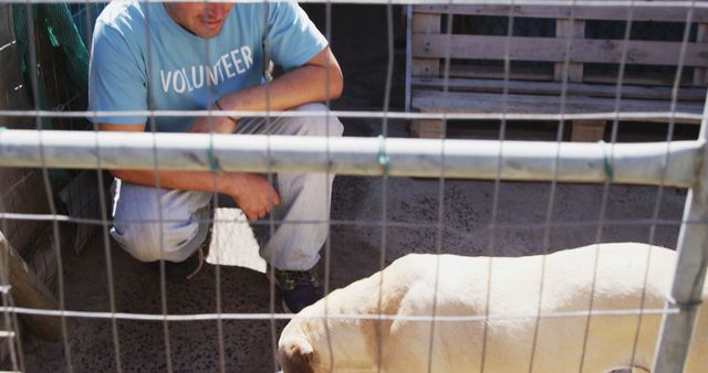 Caucasian man with dog behind fence in sunny dog shelter. Animals, support and temporary home, unaltered.