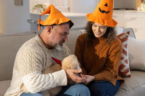 Couple wearing pumpkin hats celebrating halloween, smiling and cuddling puppy on cozy sofa