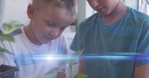 Children Engaged in Botanical Learning with Light Trails Effect