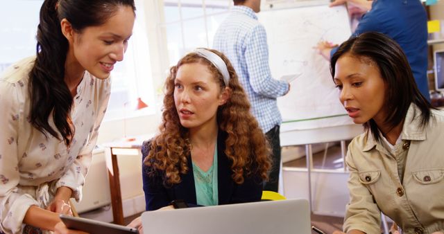 Diverse Team Collaborating on Business Project in Office Environment - Download Free Stock Images Pikwizard.com