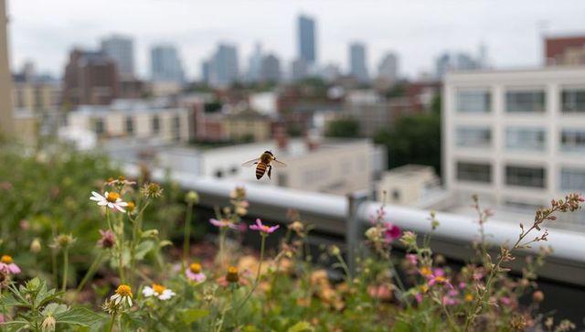 Hovering honey bee above rooftop planter with daisies and wildflowers, city skyline bokeh