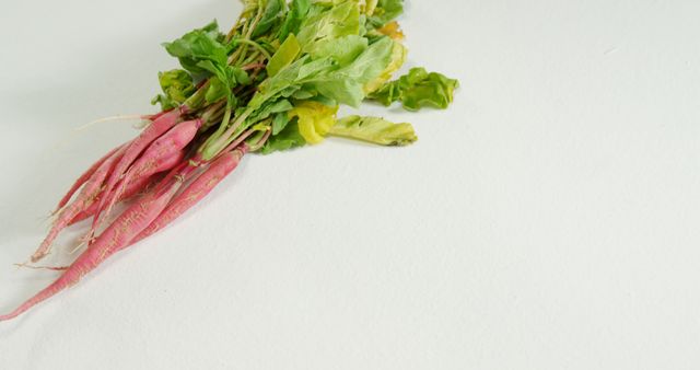 Fresh Bunch of Radishes on White Background - Download Free Stock Images Pikwizard.com