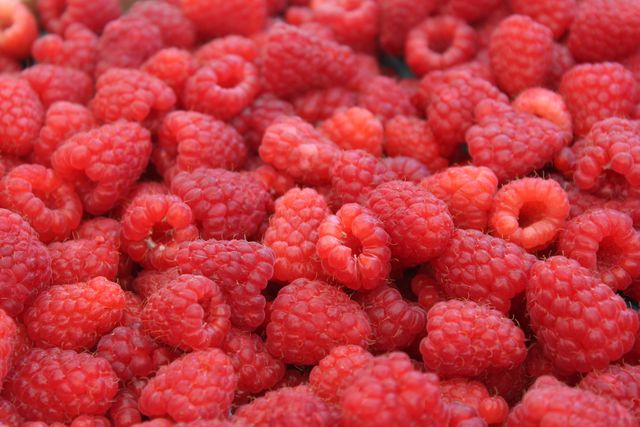 Fresh Ripe Raspberries Close-Up Background - Download Free Stock Photos Pikwizard.com