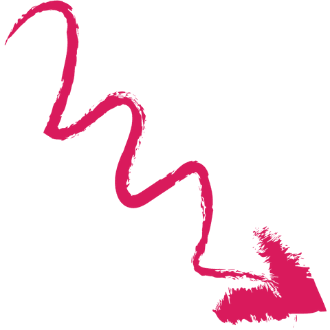 Curved Magenta Arrow Pointing Downward on Transparent Background - Download Free Stock Videos Pikwizard.com