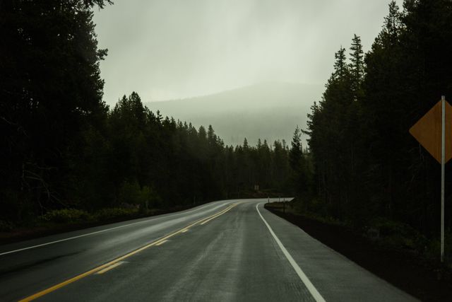 Curving road in a misty forest during foggy weather creates a moody landscape. Useful for travel and adventure content, nature and outdoors themes, and evocative scenery. Perfect for websites and brochures focusing on scenic drives, exploration, and tranquil landscapes.