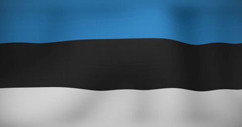 Estonian Flag Waving with Digital Data Overlay