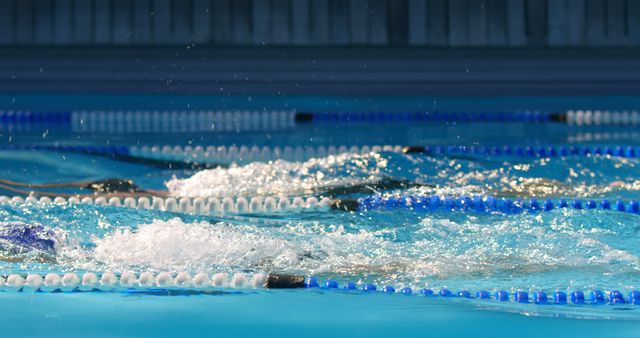 Competitive Swimmers Racing in Pool - Download Free Stock Images Pikwizard.com