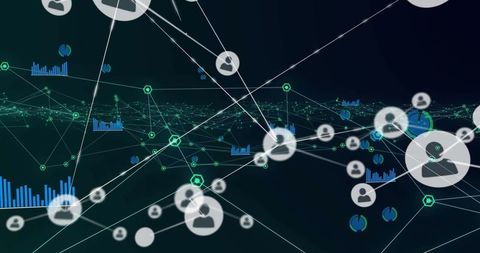 Digital network connection with data interface visualization