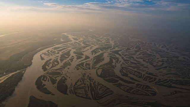 Braided river weaving across sandbar-strewn floodplain at golden hour aerial view