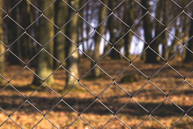 Black Steel Fence With Tree Trunks - Download Free Stock Photos Pikwizard.com