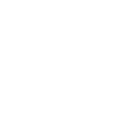 transparent silhouette of female karate fighter in action - Download Free Stock Videos Pikwizard.com