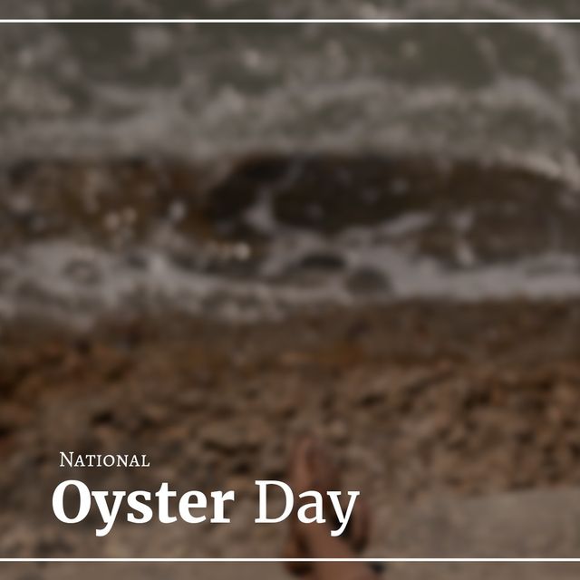 Composite of blurred low section of caucasian woman relaxing at beach and national oyster day text. vacation, lifestyle, nature, mollusk, seafood and celebration concept.