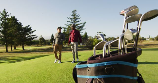 Image of diverse male friends walking on golf field - Download Free Stock Photos Pikwizard.com
