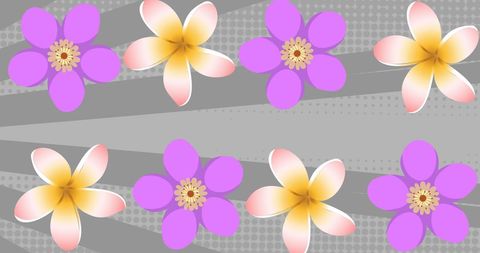 abstract floral pattern with colorful blooms on gray stripes - Download Free Stock Images Pikwizard.com