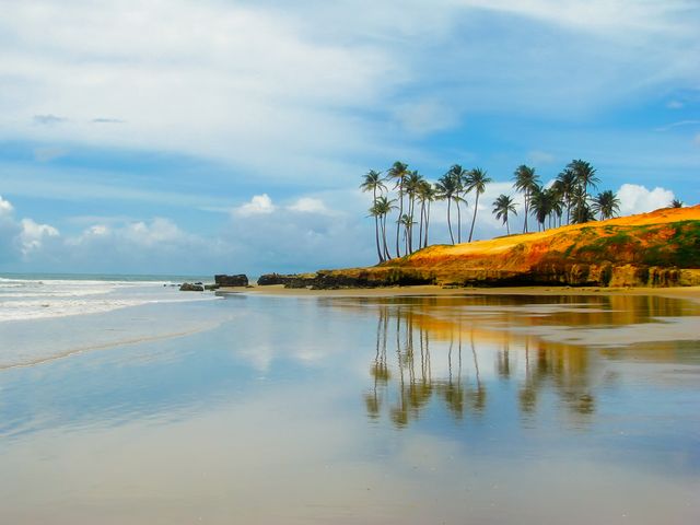 This image depicts a tropical beach landscape featuring a cluster of palm trees on the shoreline, with calm waters reflecting the sky and trees. The bright blue sky is dotted with a few clouds, enhancing the tranquility and beauty of the scene. Ideal for use in travel brochures, websites promoting beach destinations, or as a relaxing desktop background to evoke a sense of calm and tropical paradise.