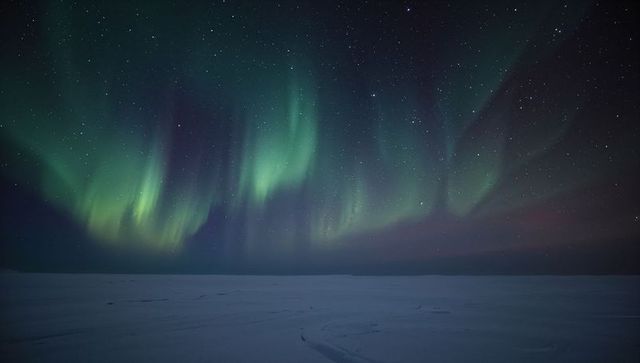 Dancing Northern Lights Painting Starry Night over Snow-Covered Plain