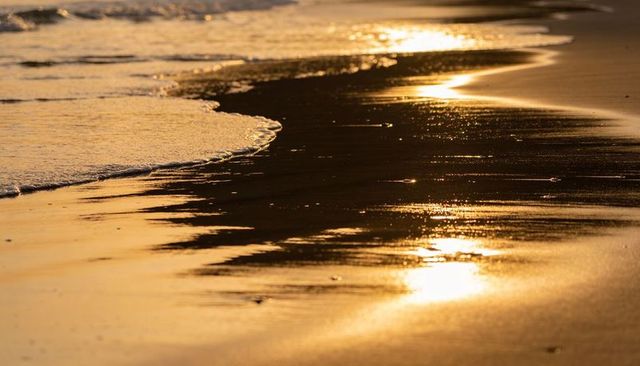 Shoreline Reflecting Golden Sunlight, Foamy Waves Gently Washing Sand at Dawn