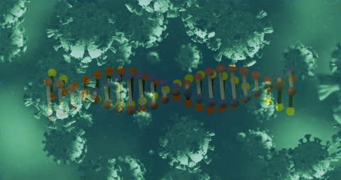 DNA Strand Animated Over Covid-19 Cells for Pandemic Concept