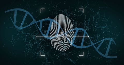 digital dna strand and fingerprint with connection lines - Download Free Stock Images Pikwizard.com