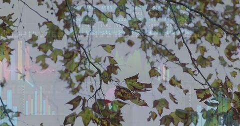 Digital data overlay on autumn leaves for environmental insight
