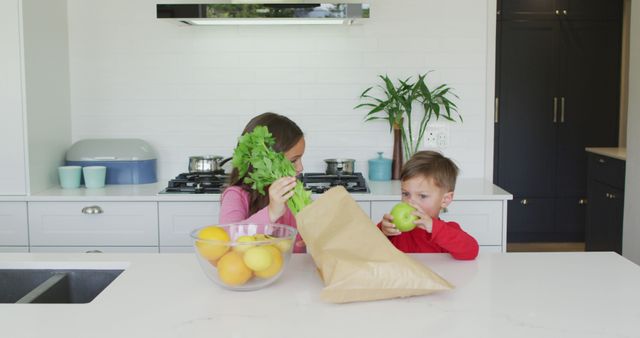 Mother and son unpacking groceries in a bright, modern kitchen. Perfect for themes related to family life, healthy eating, and domestic activities. Can be used in advertising for grocery stores, healthy food brands, and family lifestyle blogs.