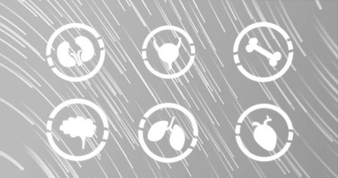 Human Biology Concepts with Icons on Grey Background - Download Free Stock Images Pikwizard.com