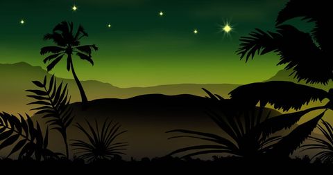 Starry Tropical Night with Palm Tree Silhouettes - Download Free Stock Images Pikwizard.com