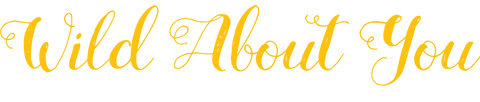 Wild About You Romantic Calligraphy on Transparent Background - Download Free Stock Videos Pikwizard.com