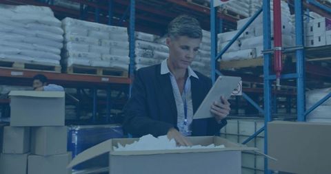 Mature woman supervisor checking inventory with tablet in busy warehouse