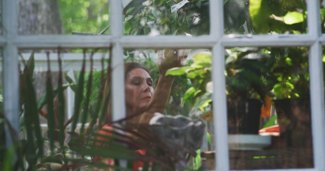 Woman tending to plants in a greenhouse seen through a window with lush green foliage surrounding her. Perfect for uses related to gardening tips, plant care articles, or horticulture websites. Could also be used for content related to sustainable living, organic gardening, or nature-inspired practices.