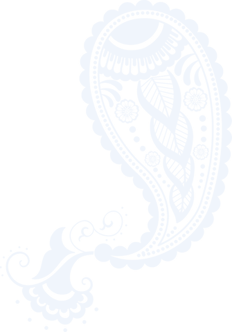 elegant ornate paisley motif with floral swirls design on transparent background - Download Free Stock Videos Pikwizard.com