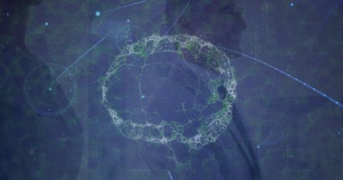 Digital human brain spinning over global network connections